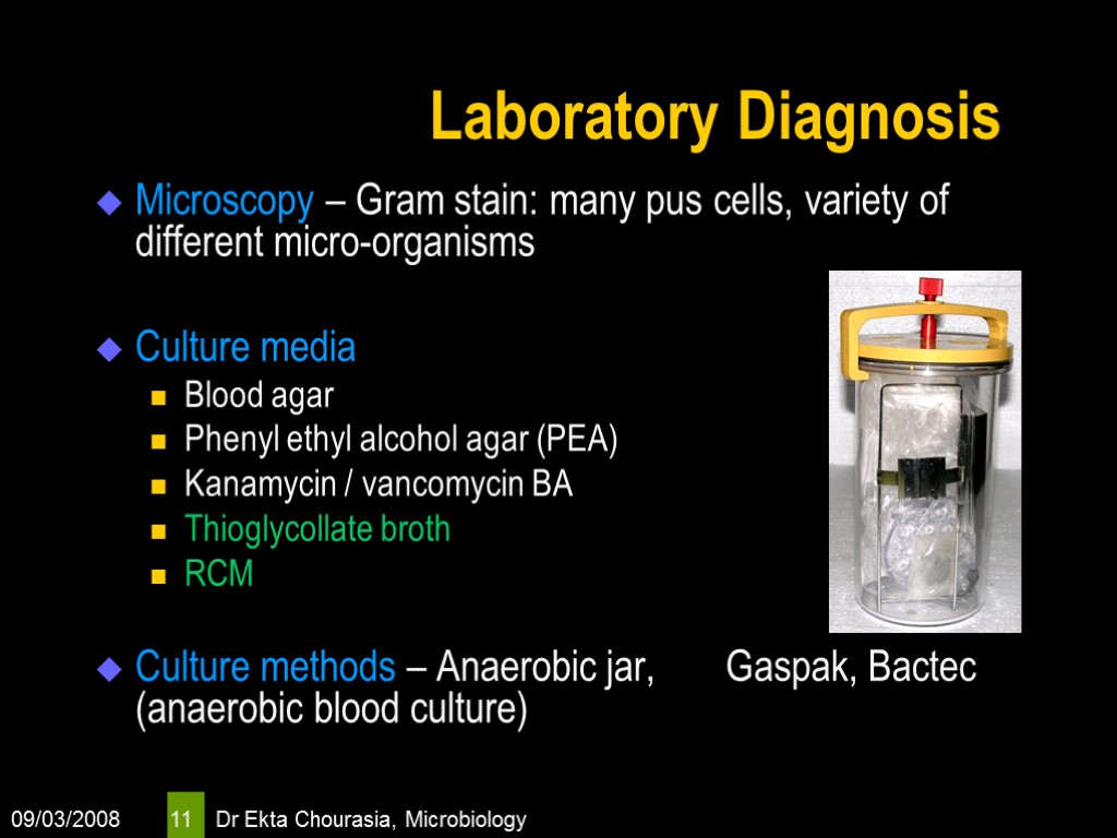 09/03/2008 Dr Ekta Chourasia, Microbiology 11 Laboratory Diagnosis Microscopy – Gram stain: many pus